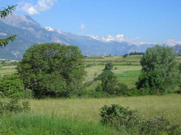 Alpineaccomodation Guillestre Luaran gambar